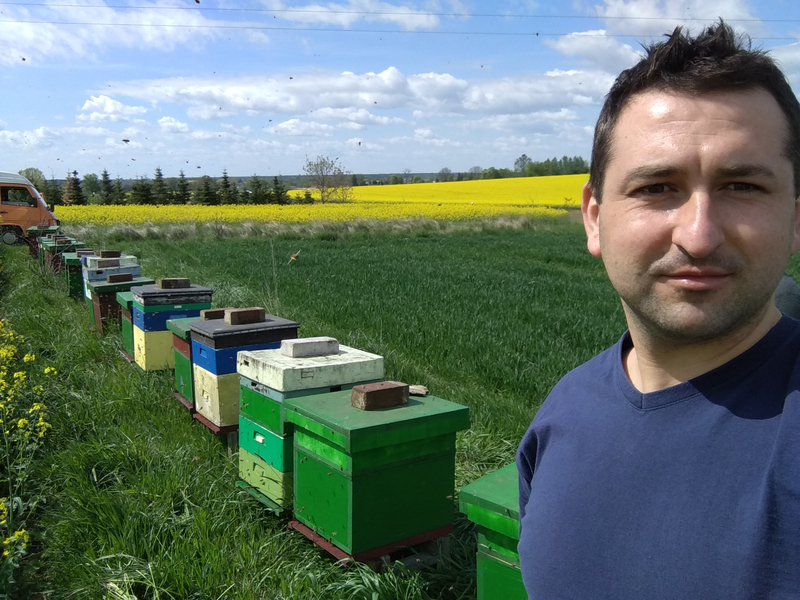 Zdjęcie na okładce dla NEKTARIA - Paweł Klucha, Miód, Pyłek, Pierzga
